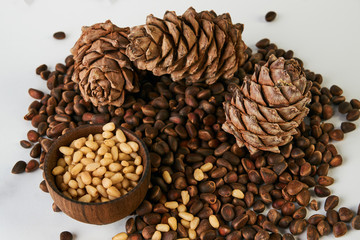 Pine cones with ripe cedar pine nuts