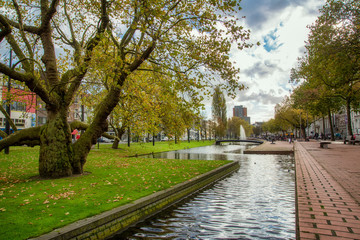Fototapeta na wymiar Rotterdam city center park in Netherlands in November 6, 2017