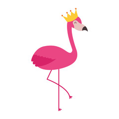 pink flamingo bird exotic image vector illustration
