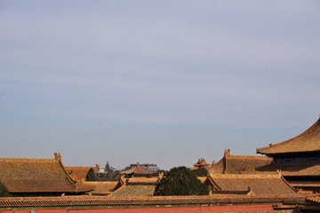 Skyline of yellow roofs in forbidden city in Beijing China
