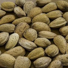 Ecological almonds with peel from an exploitation in the South of Spain before breaking to toast...