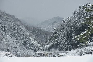 Fototapeta premium 里山の雪景色