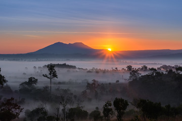 Morning fog in the mountain.