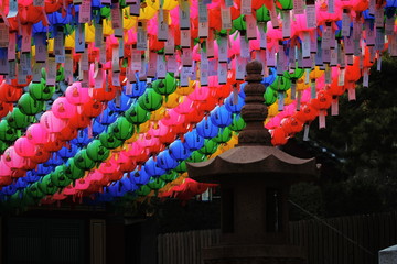 Fototapeta premium Hong Mae-hwa in Bongeunsa, Seoul