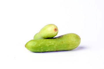Small mini fresh green cucumber