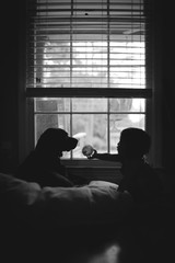 Child and Dog Playing in Window Silhouette, Rainy Day Lifestyle