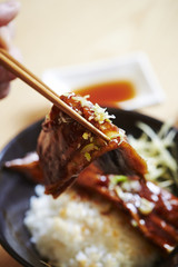 Rice with Grilled Eel