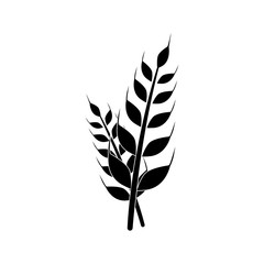 Obraz premium ear icon. Element of farming and garden icons. Premium quality graphic design icon. Signs, outline symbols collection icon for websites, web design, mobile app