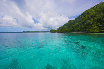 Rock Island, Palau, Ocean Pacific