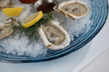 Oyster Plates