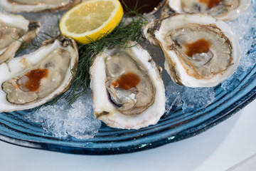 Oyster Plates