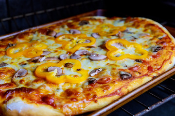 pizza baking and pizza making oven