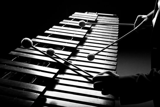 The hands of a musician playing the marimba in black and white tones
