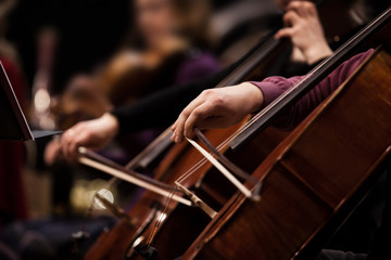 The hands of a musician playing the cello in an orchestra in dark tones  © furtseff
