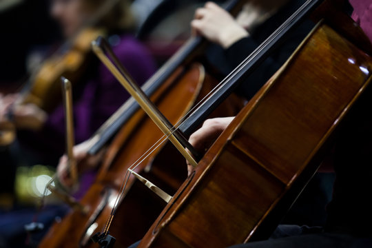  Fragment of cellos in a symphony orchestra