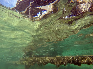 Underwater routine: unusual shot