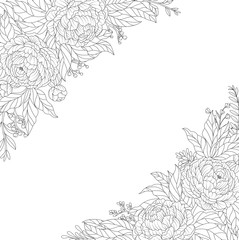 Ornamental flowers on white background