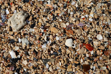 Details of colorful shells and rocks on the beach background