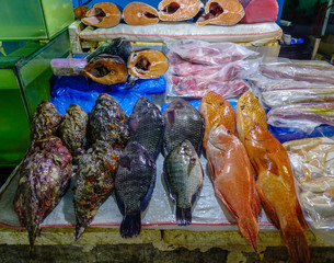 Fish market in Manila, Philippines