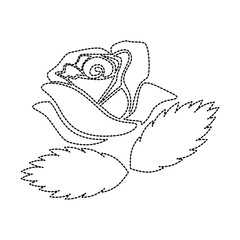 beautiful rose isolated icon vector illustration design