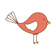 cute bird isolated icon vector illustration design