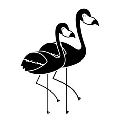 two pink flamingo bird exotic image vector illustration pictogram design