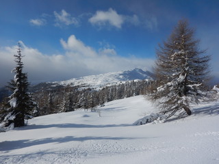 Fototapeta na wymiar beautiful winter landscape in the alps
