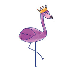 pink flamingo bird exotic image vector illustration draw design
