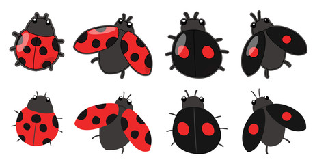 てんとう虫 © Y