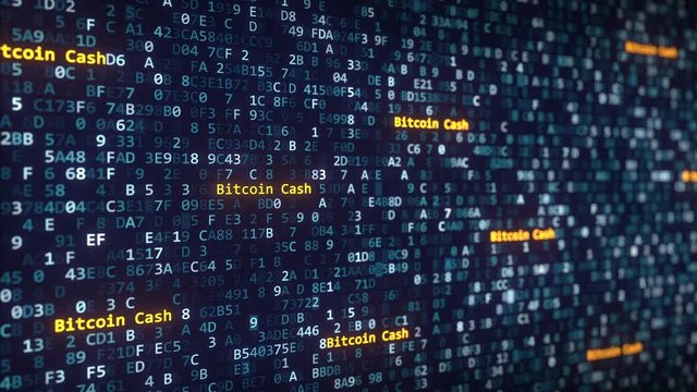 Bitcoin Cash captions appearing among changing hexadecimal symbols on a computer screen
