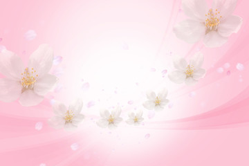 Naklejka na ściany i meble 桜の背景 春イメージ 