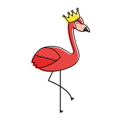 flamingo crown bird exotic image vector illustration