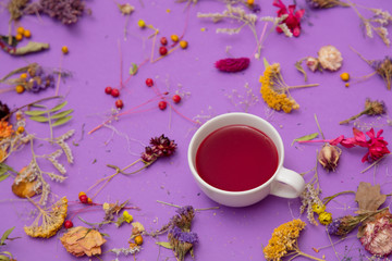 Obraz na płótnie Canvas Cup of tea and herbs with flowers