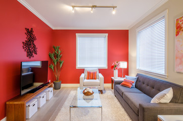 Modern red living room. Interior design.