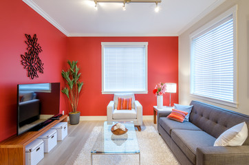 Modern red living room. Interior design.