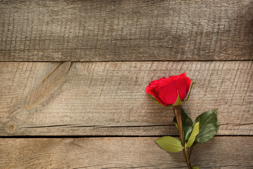 Valentine's card. Red rose on wooden board. Closeup. Top view.