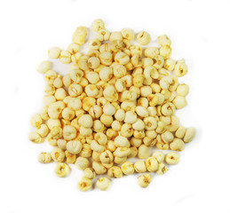 Bulbus Fritillariae cirrhosae, chinese herbal medicine isolated. Chuan Bei Mu