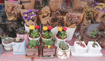 Varieties of cactus pots and dried flower bouquets on table at a flower shop