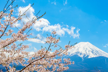Obraz premium Góra Fuji.Foreground to kwiat wiśni, a miejsce zdjęć to miasto Fujiyoshida w prefekturze Yamanashi w Japonii.