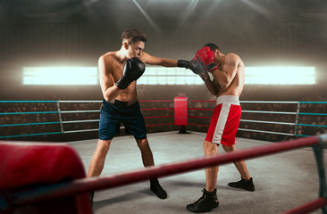 Boxing sparring boxers