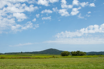 Lush Green Countryside