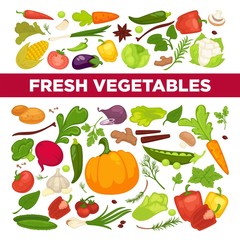 Fresh vegetables advertisement with organic healthy vegetarian products and greenery from farm full of vitamins