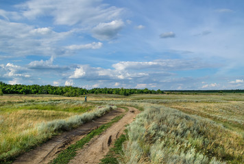 Fototapeta premium Russian steppe
