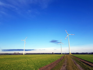 Windmühlen auf freiem Feld bei blauem Himmel