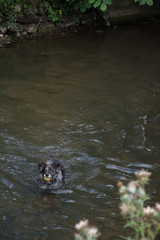 Peak district England