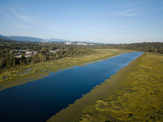 Aerial view of Burnaby Lake during a sunny day in Vancouver, BC, Canada.