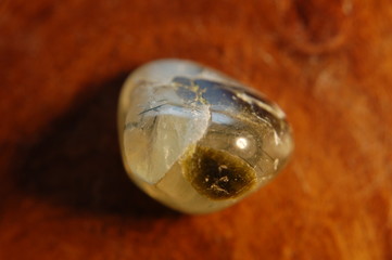 Holz, Metall, Licht, Gitarre, Pflanze, Schach