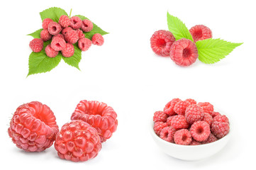 Collection of raspberry fruit