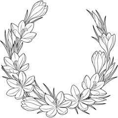 Spring flower vignette of crocuses. Coloring book. Black and white image for adult relaxation.