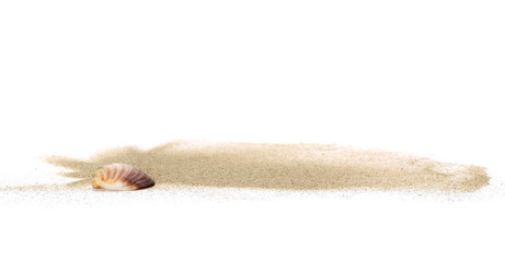 Sea shells in sand pile isolated on white background